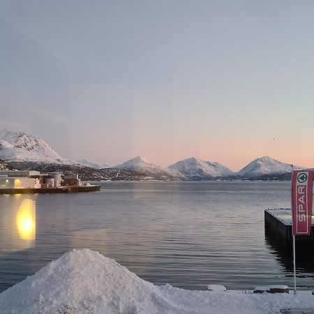 Aurora Harbour House Villa Lodingen Bagian luar foto