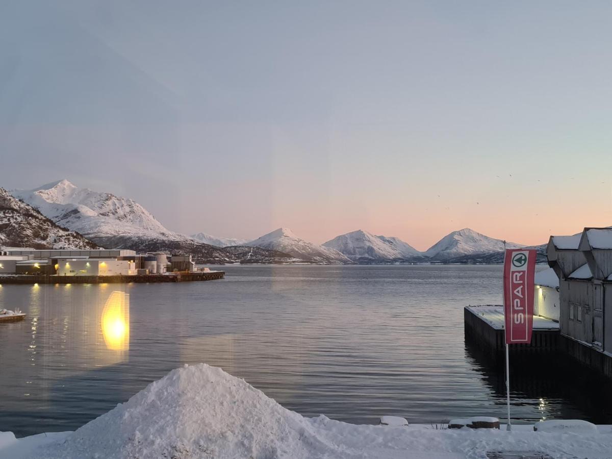 Aurora Harbour House Villa Lodingen Bagian luar foto