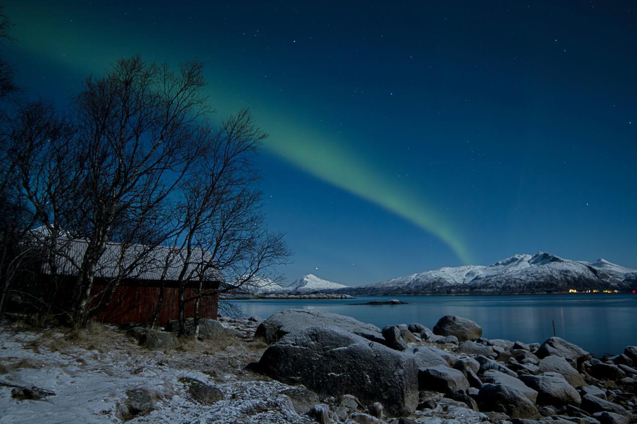 Aurora Harbour House Villa Lodingen Bagian luar foto